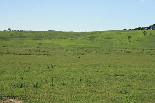- Mt Fairy Road, BUNGENDORE NSW 2621, Bungendore - Thumbnail 5