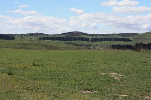 - Mt Fairy Road, BUNGENDORE NSW 2621, Bungendore - Thumbnail 6