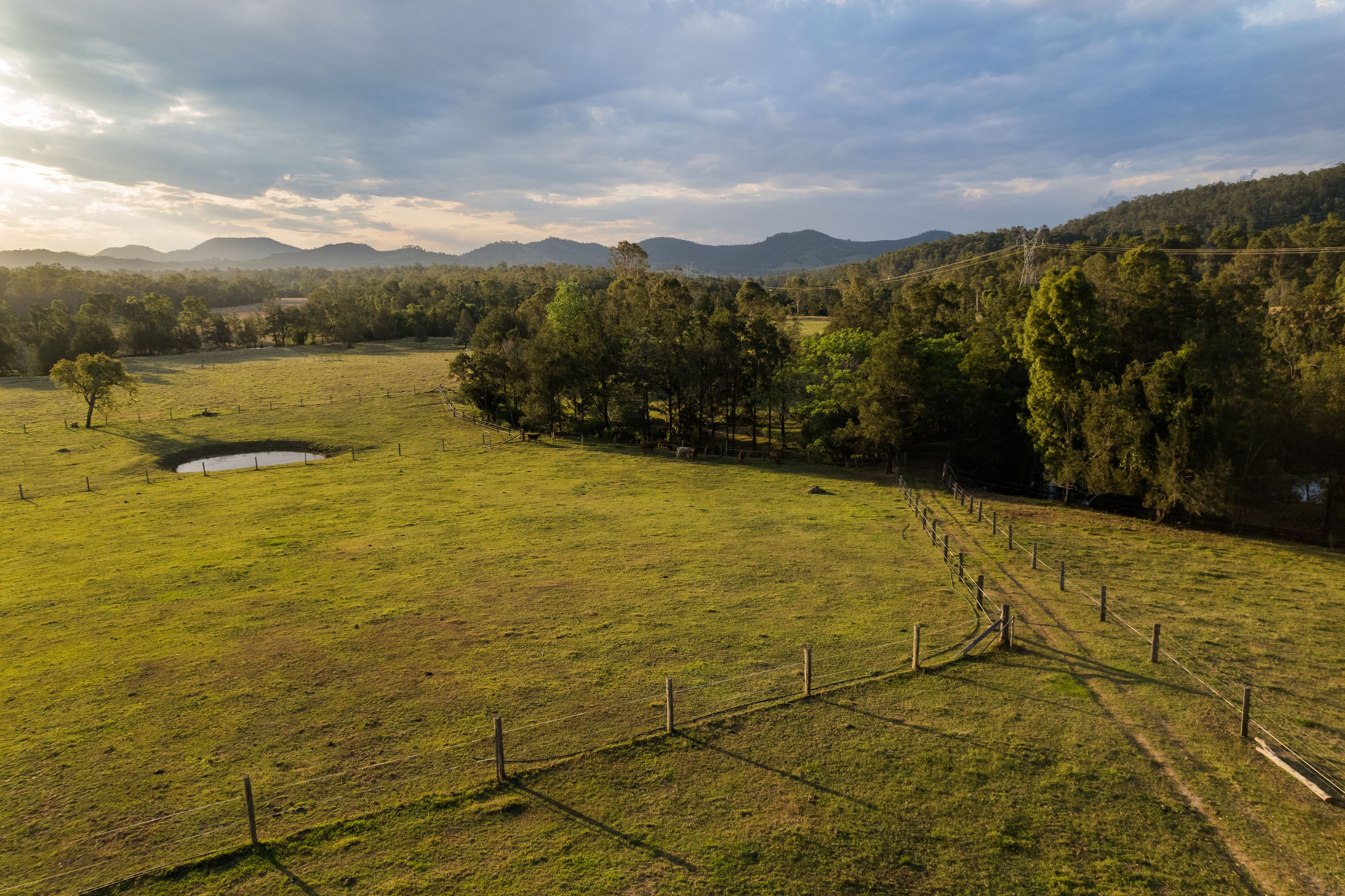 16 Conway Court, Glastonbury QLD 4570, Glastonbury - Thumbnail 7