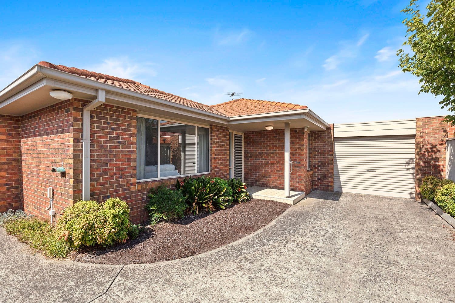 52 Rosewarne Avenue, Cheltenham VIC 3192, Cheltenham - Image 1