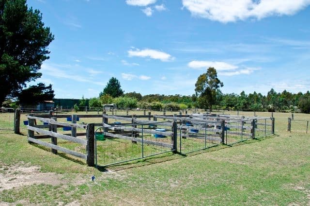 372 Glengarry Road, WINKLEIGH TAS 7275, Winkleigh - Thumbnail 4