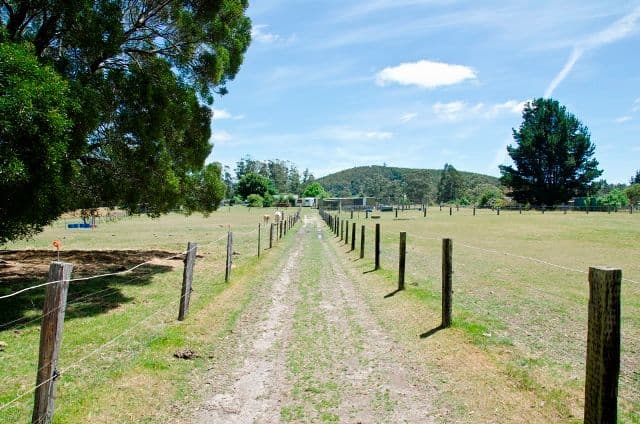 372 Glengarry Road, WINKLEIGH TAS 7275, Winkleigh - Thumbnail 7