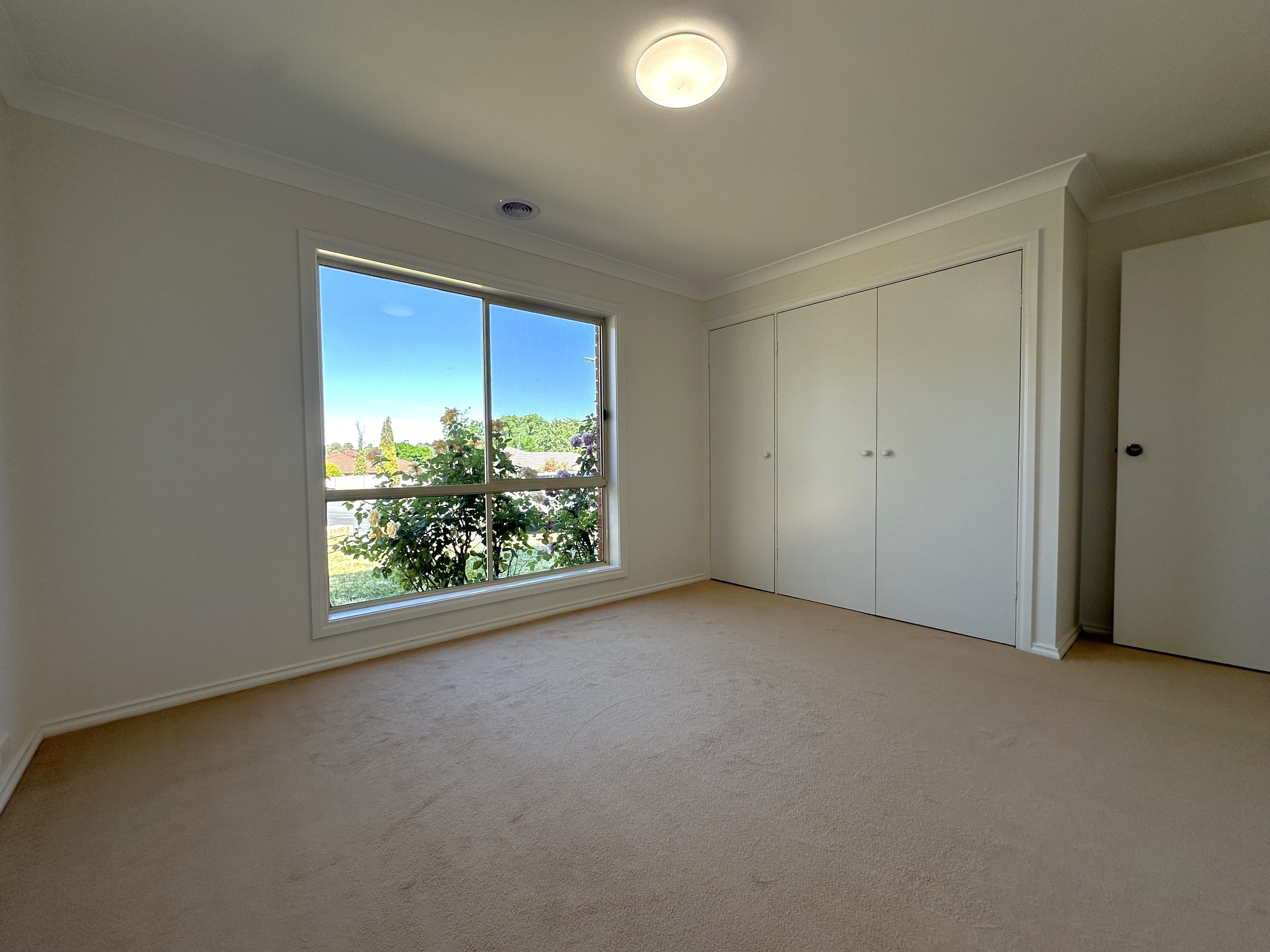 4 Twynam Court, Young NSW 2594, Young - Thumbnail 6