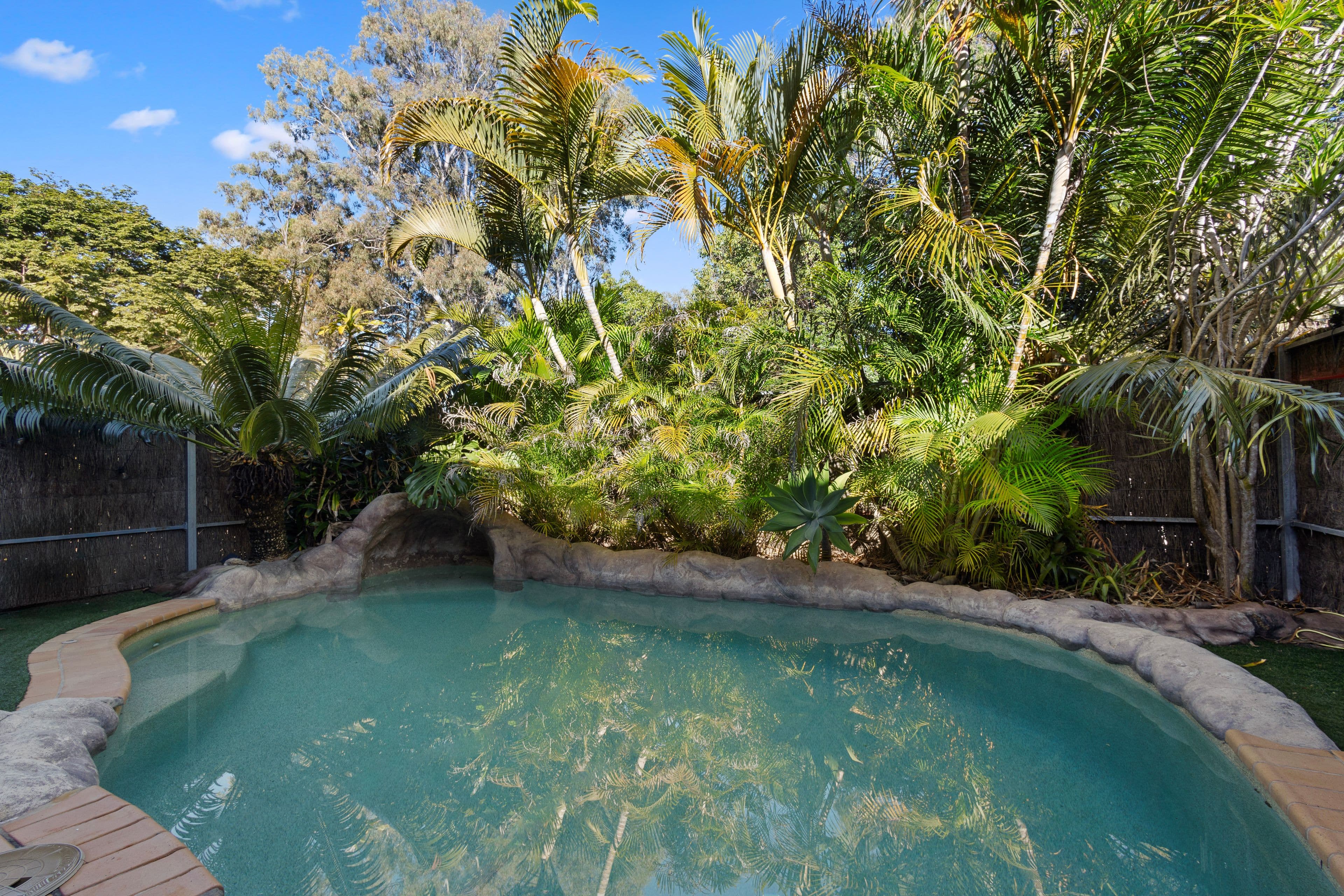 31 Barbour Road, Bracken Ridge QLD 4017, Bracken Ridge - Thumbnail 3
