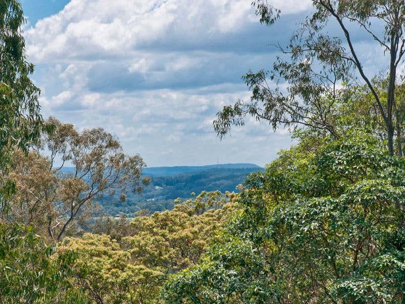 28 Bell Road, BUDERIM QLD 4556, Buderim - Thumbnail 6