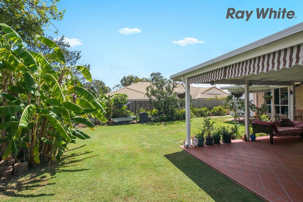 4 Burgundy Street, Thornlands QLD 4164, Thornlands - Thumbnail 2