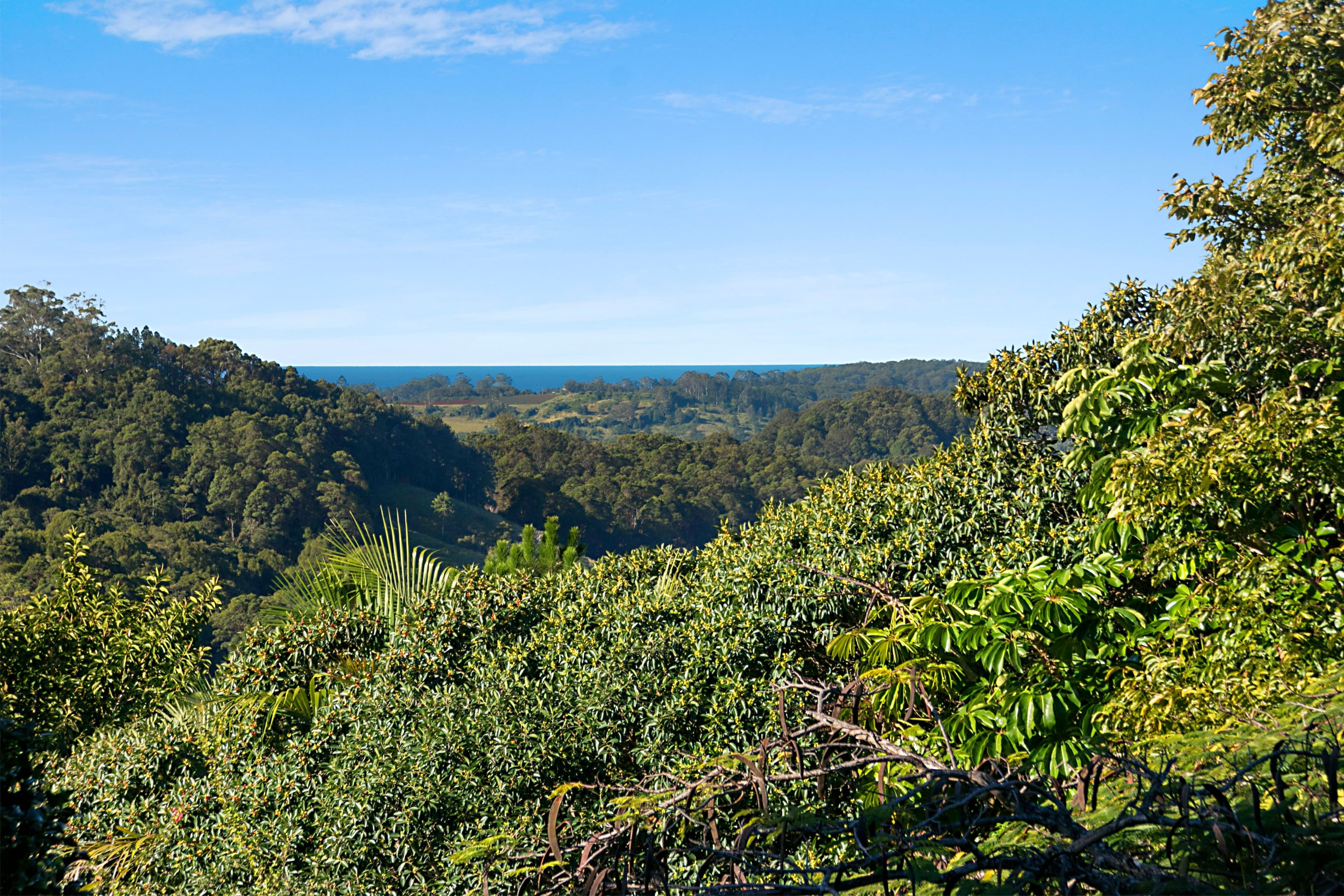 35 Hammond Drive, Clothiers Creek - Thumbnail 2