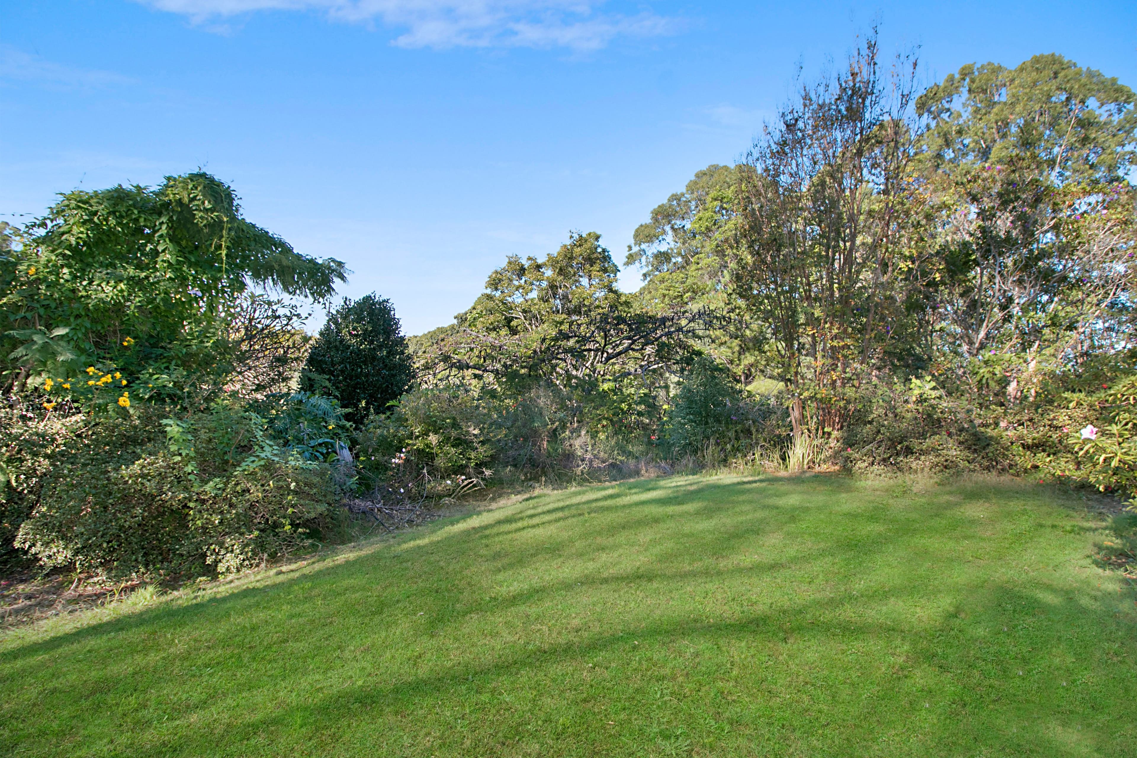 35 Hammond Drive, Clothiers Creek - Thumbnail 7