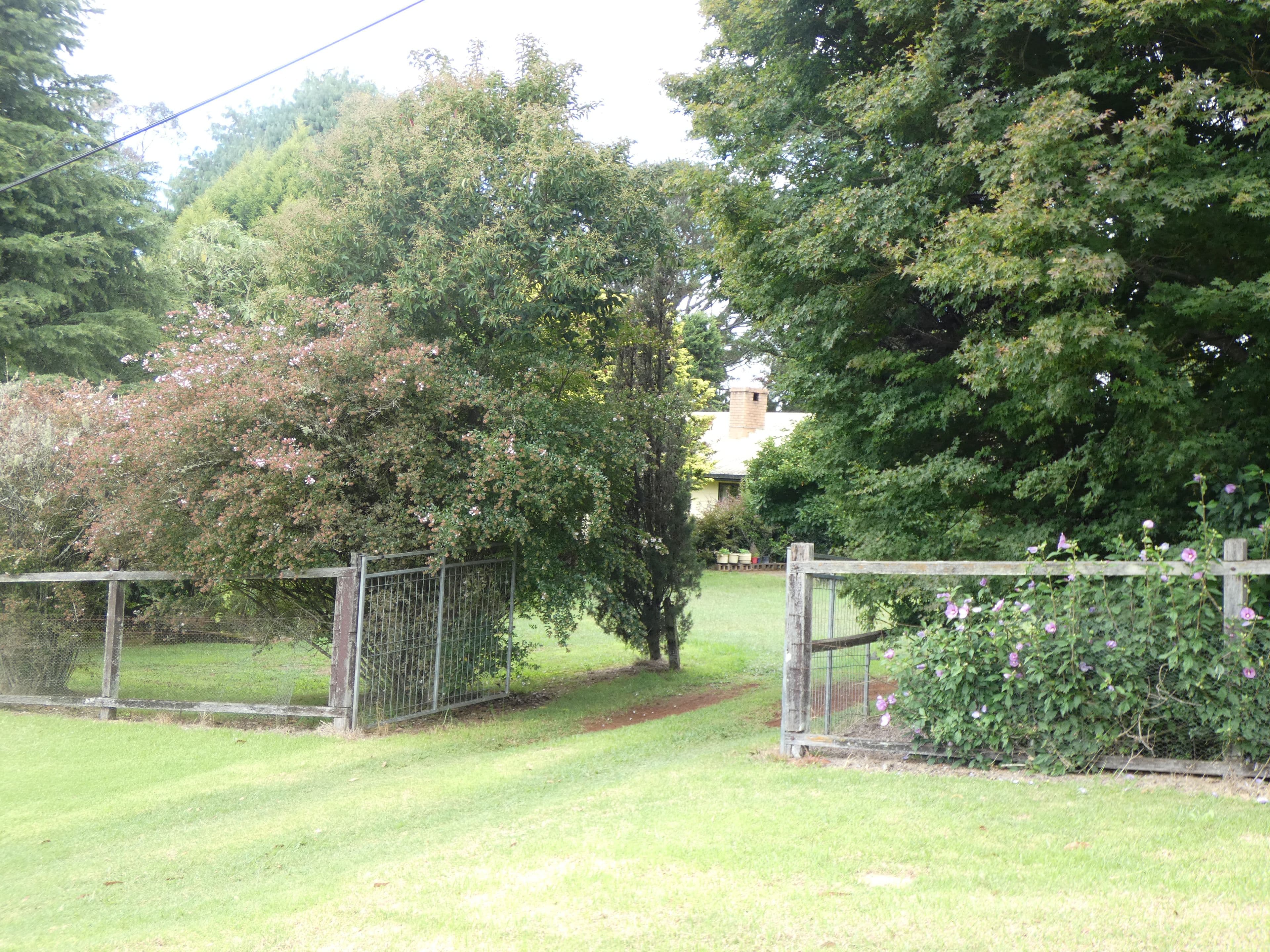 Dorrigo NSW 2453, Dorrigo - Image 1