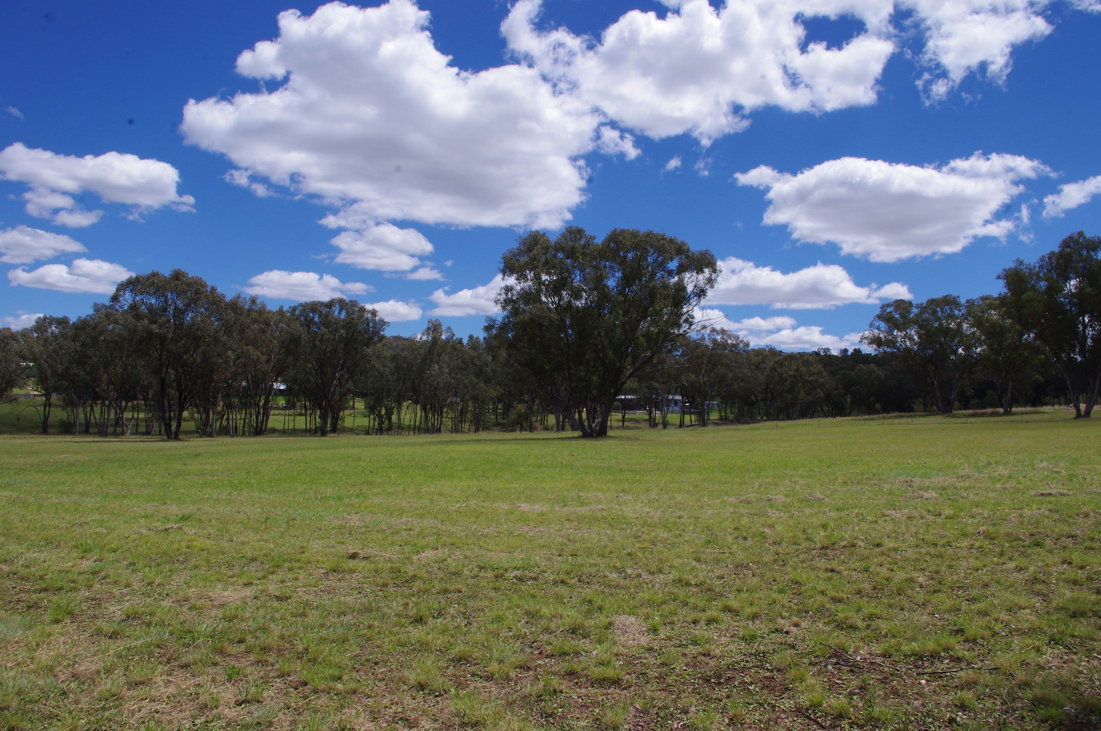 Lot 2 White Box Place, Inverell NSW 2360, Inverell - Thumbnail 3