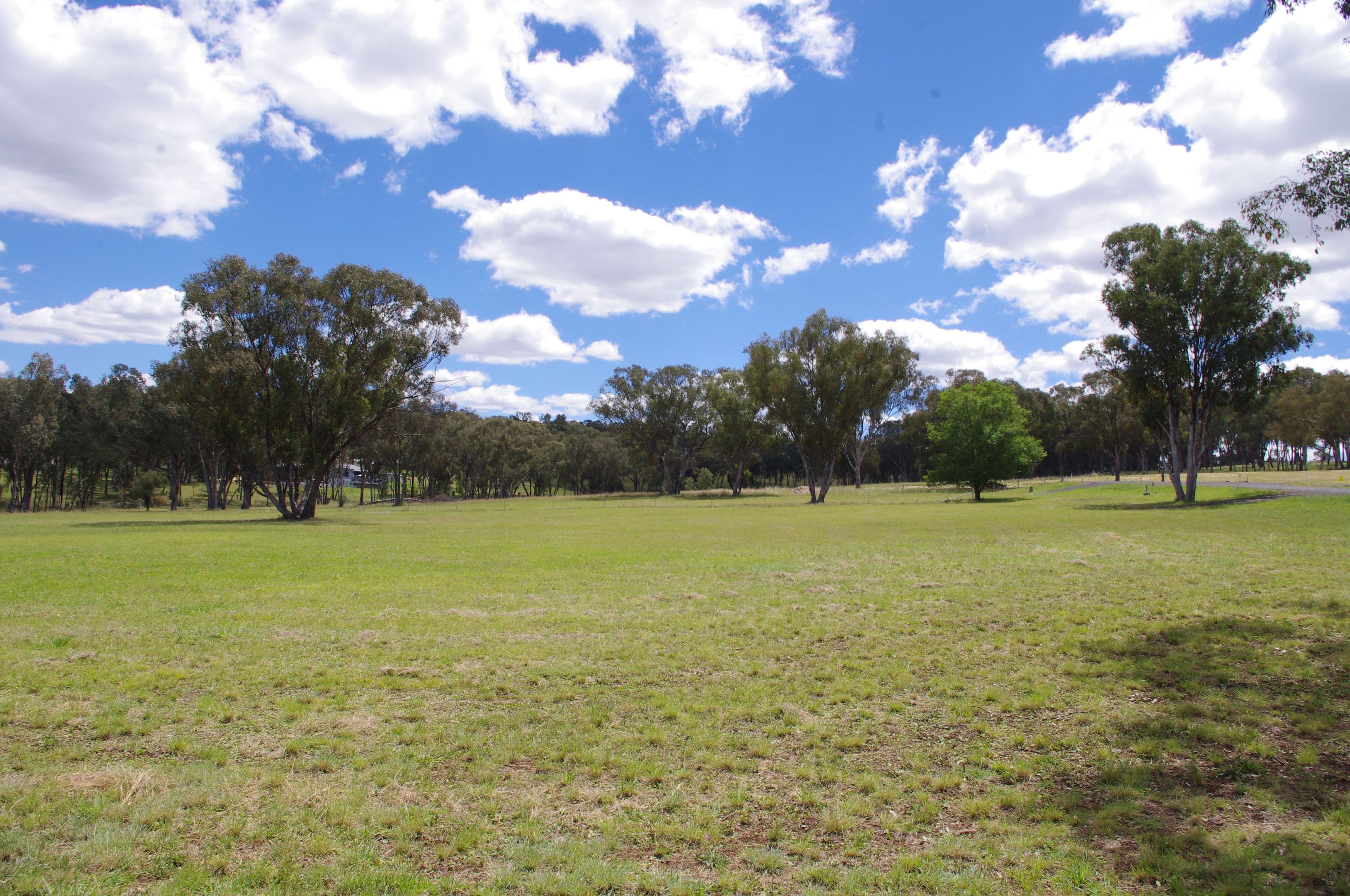 Lot 2 White Box Place, Inverell NSW 2360, Inverell - Thumbnail 4