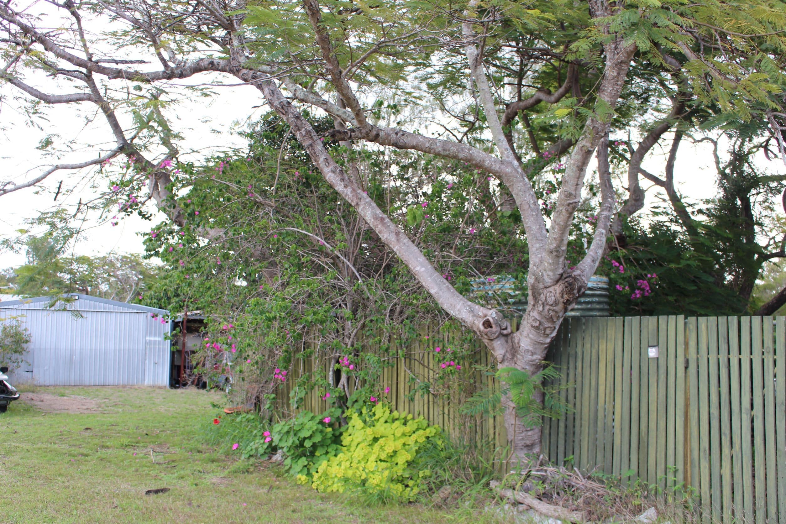 27 Tummon Street, Ambrose QLD 4695, Ambrose - Thumbnail 2