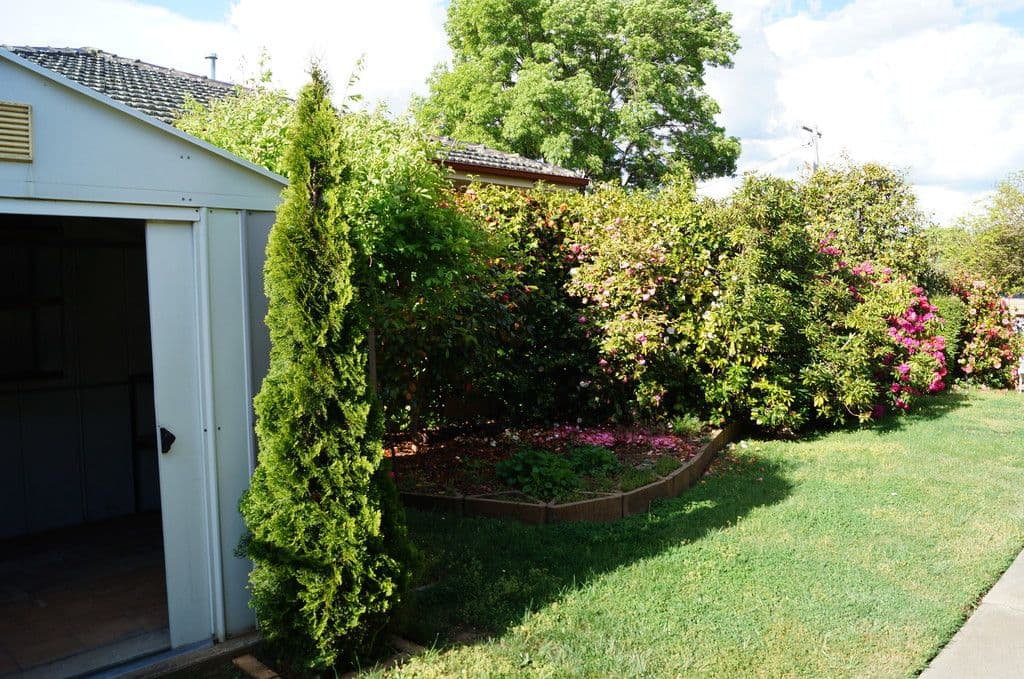 12 James Cook Crescent, Orange - Thumbnail 8
