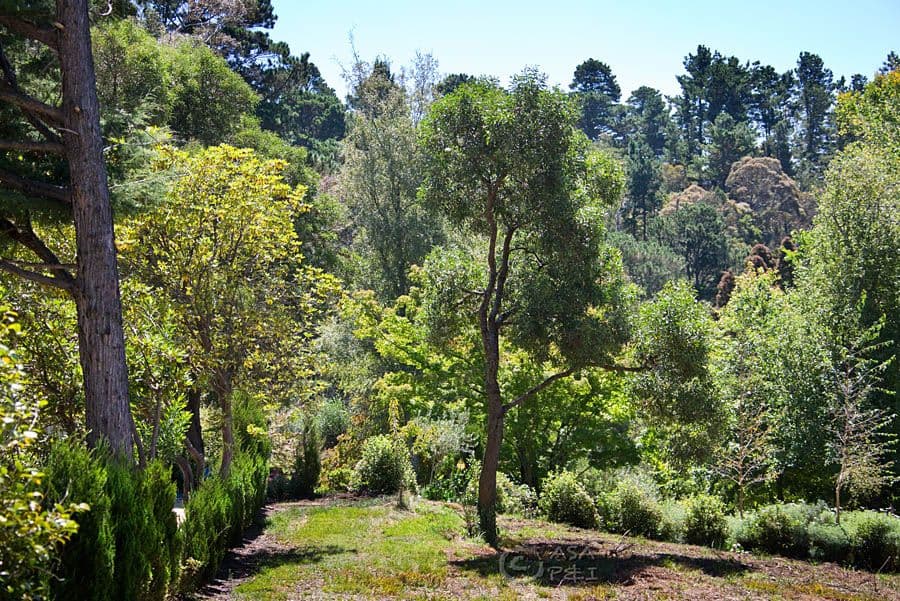 18 Park Avenue, Blackheath NSW 2785, Blackheath - Thumbnail 7