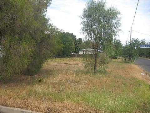 23 Broad Street, Coonamble NSW 2829, Coonamble - Thumbnail 3