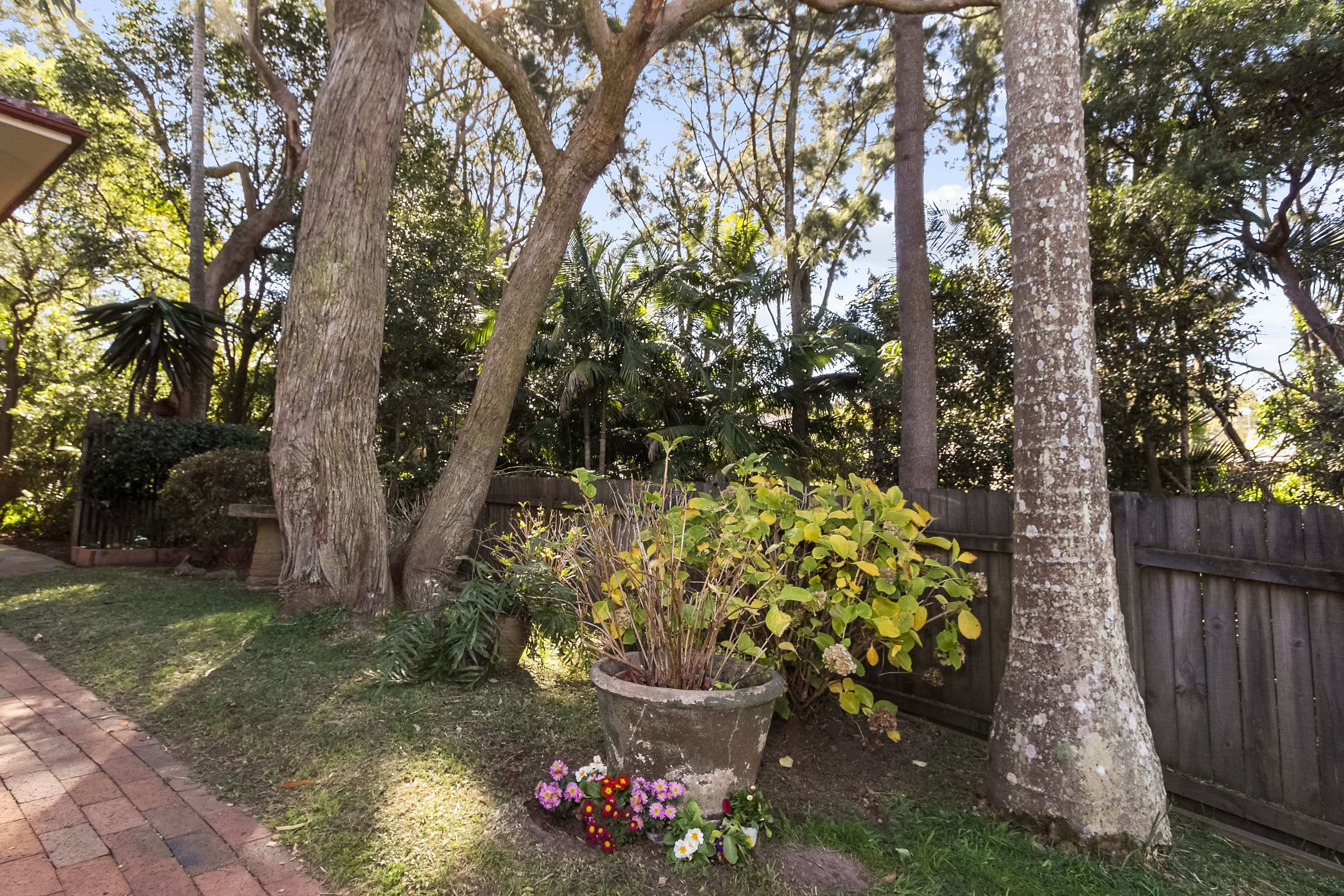 6 Carinya Close, Allambie Heights - Thumbnail 8