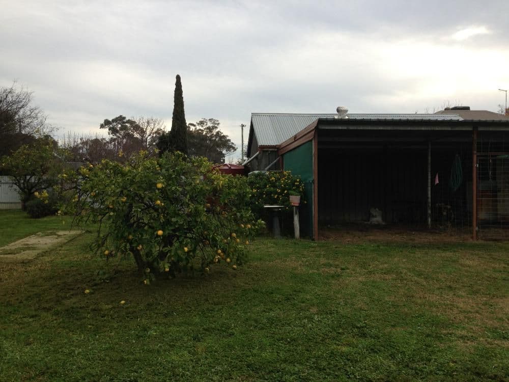 5 Wenke Street, WALLA WALLA NSW 2659, Walla Walla - Thumbnail 5
