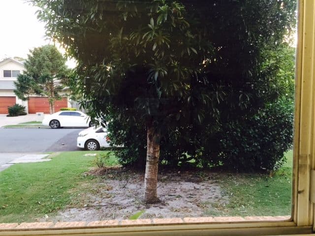 33 Middle Street, Labrador QLD 4215, Labrador - Thumbnail 7