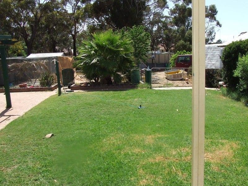 42 Graham Street, KONDININ WA 6367, Kondinin - Thumbnail 5