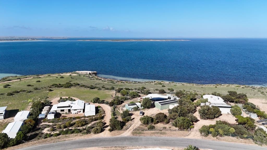 8 Seaview Road, Perlubie, SA, 5680, Perlubie - Thumbnail 4