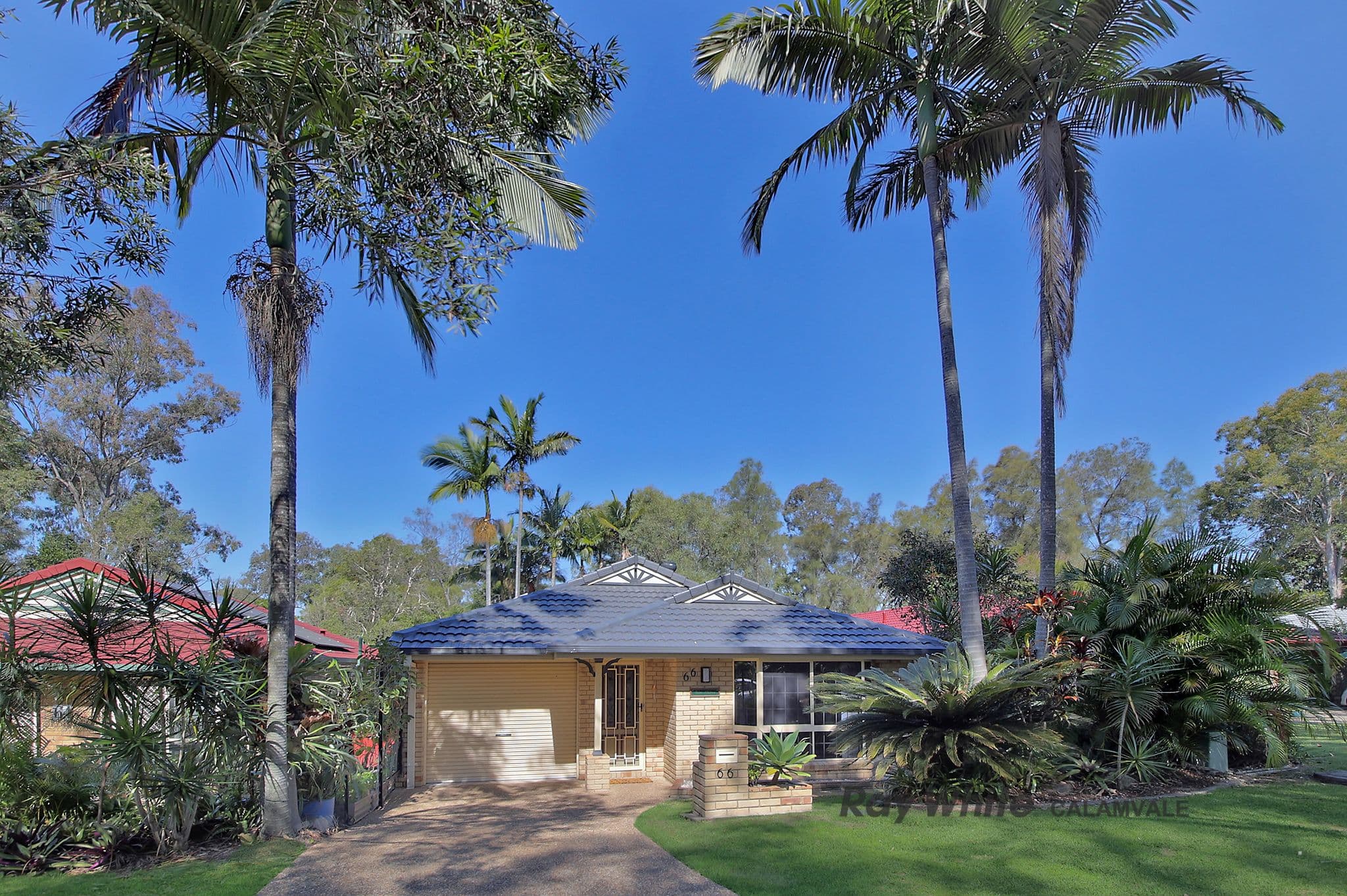 66 Serrata Circuit, Forest Lake QLD 4078, Forest Lake - Thumbnail 3