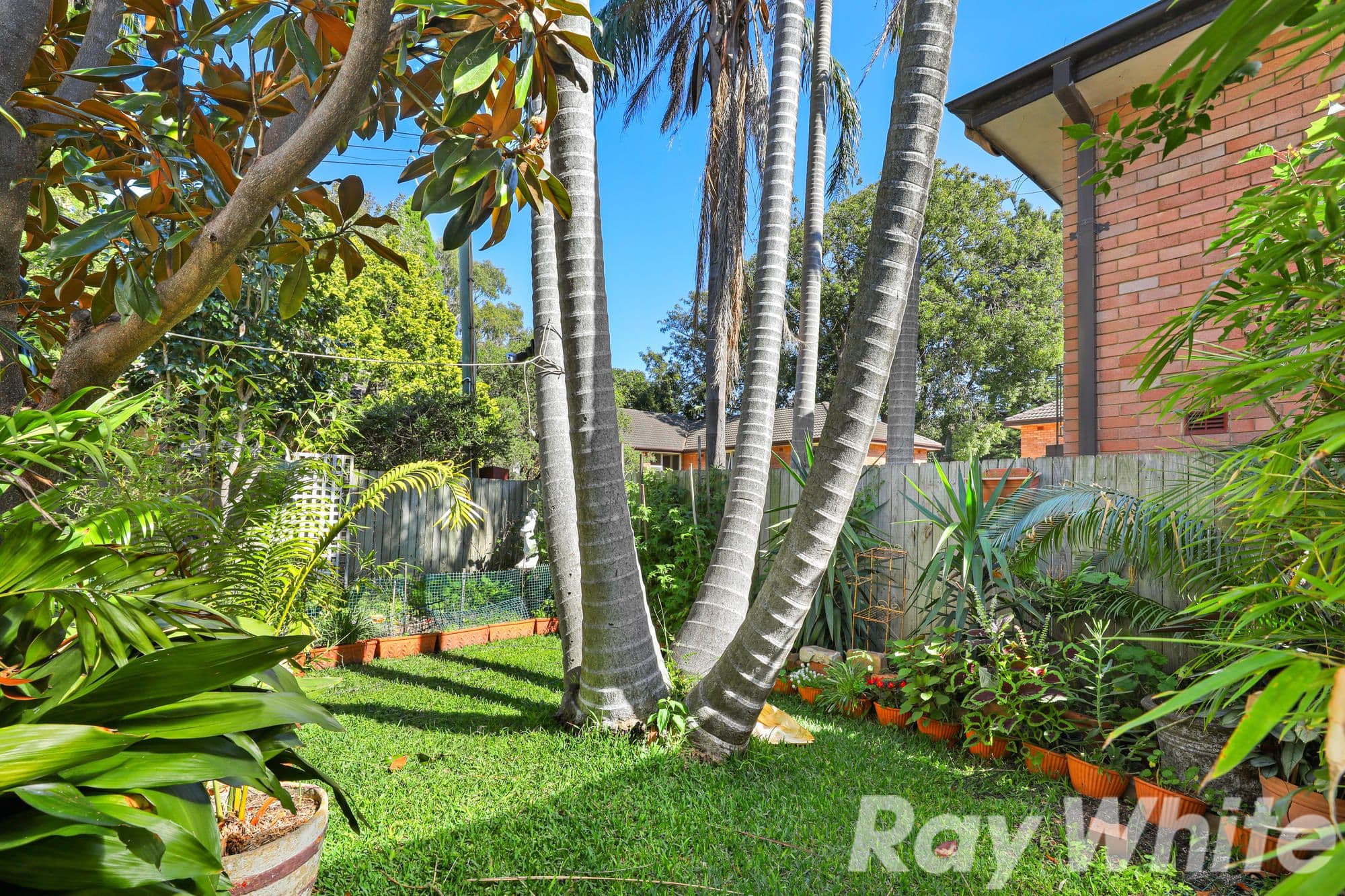 375 New Canterbury Road, Dulwich Hill NSW 2203, Dulwich Hill - Thumbnail 8