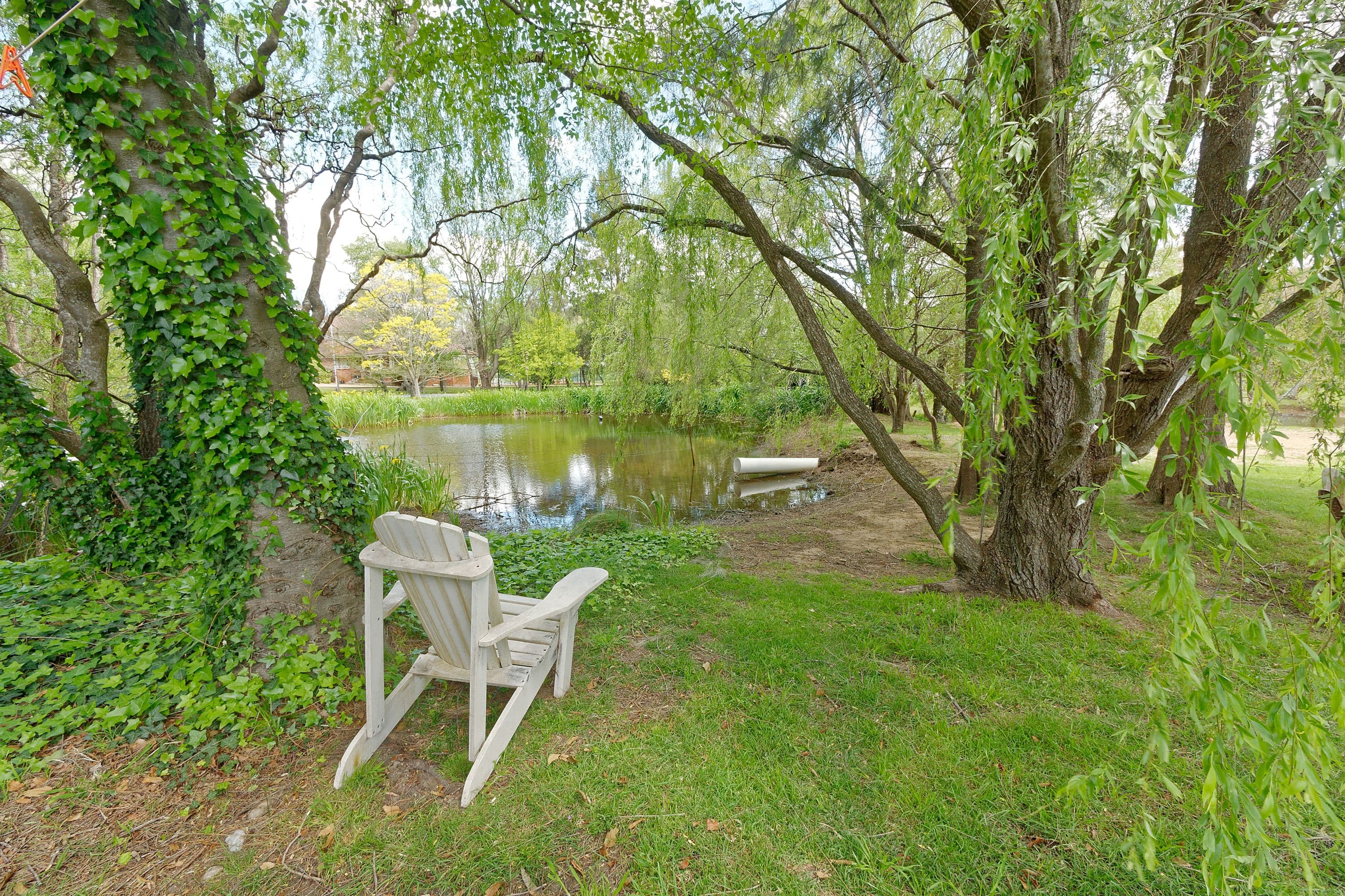 14 Beech Street, Colo Vale - Thumbnail 8
