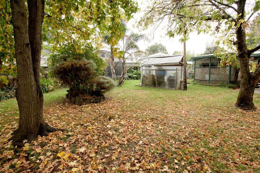 20 Clyde Street, FERNTREE GULLY VIC 3156, Ferntree Gully - Thumbnail 2
