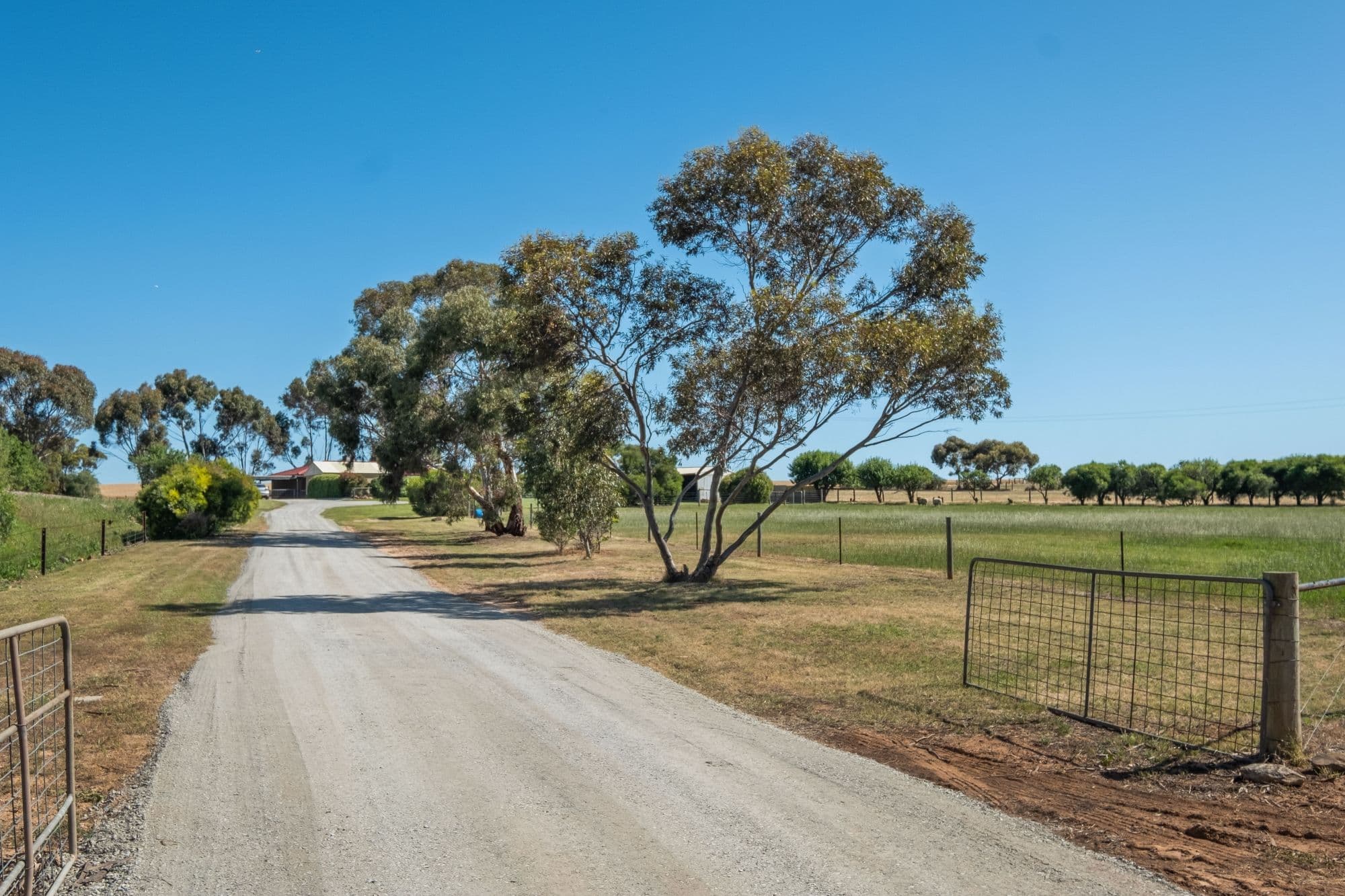 3A Edward Street, Strathalbyn SA 5255, Strathalbyn - Image 1