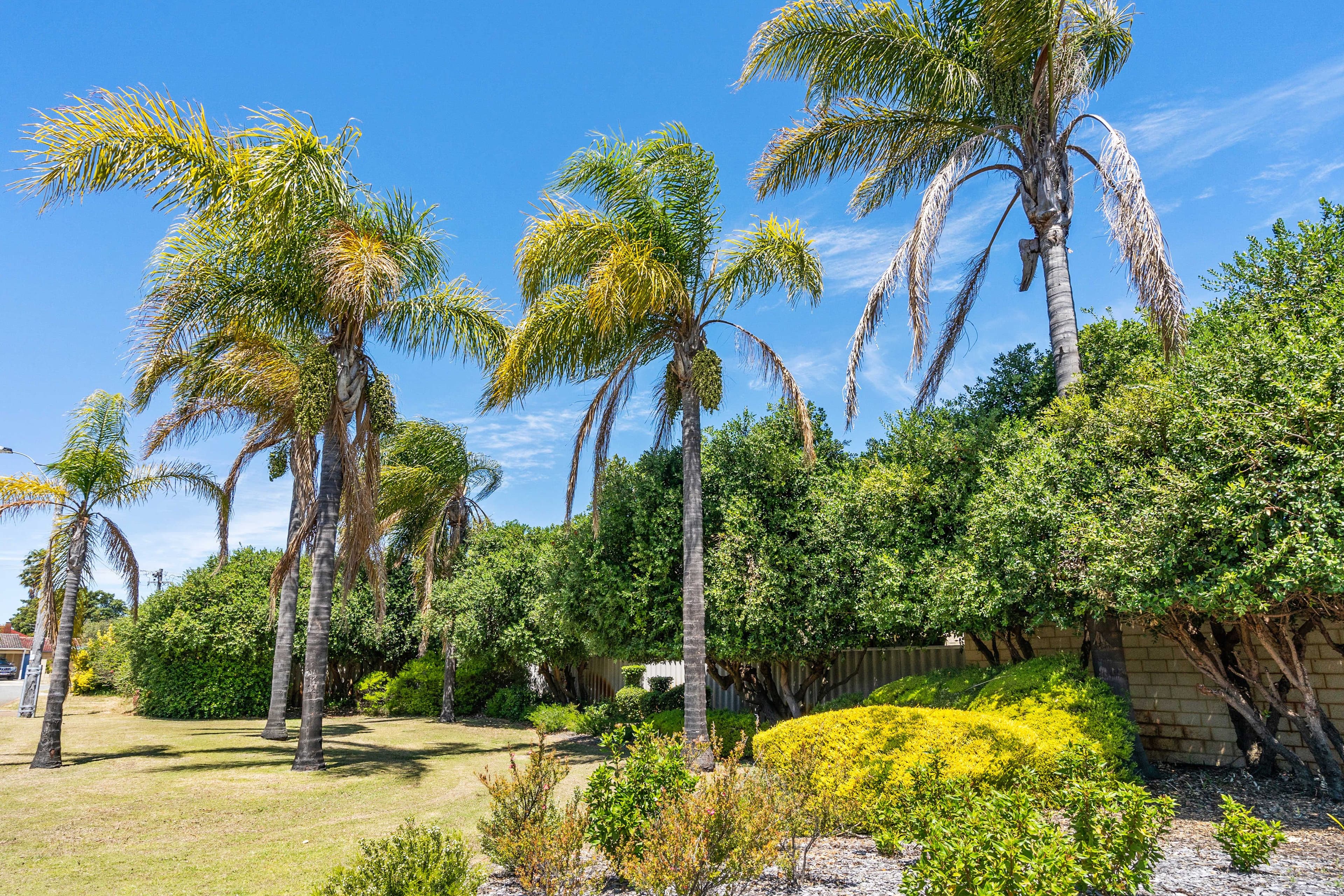 27a Melbourne Way, Morley WA 6062, Morley - Thumbnail 7