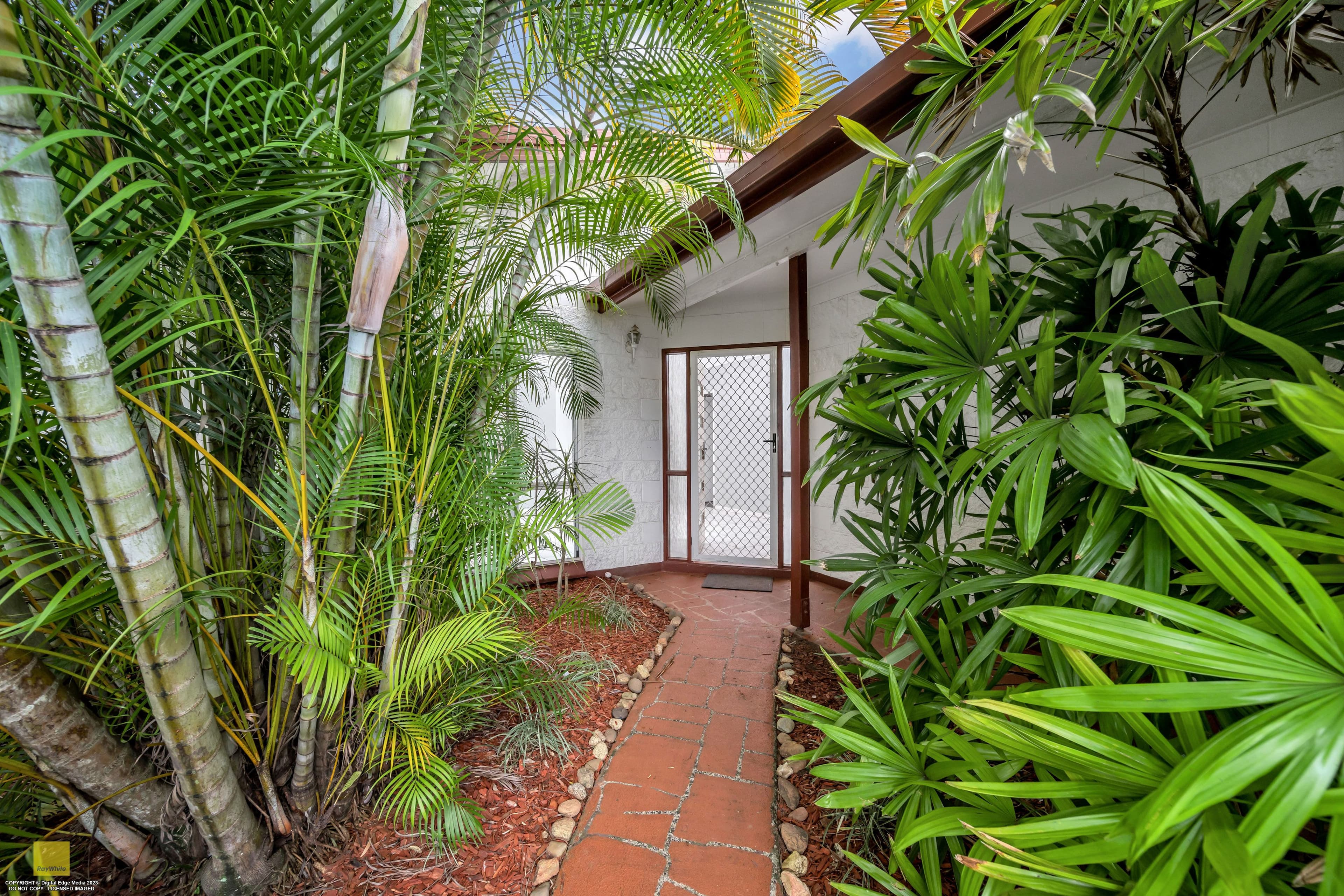 14 Edmonds Close, Bentley Park QLD 4869, Bentley Park - Thumbnail 4