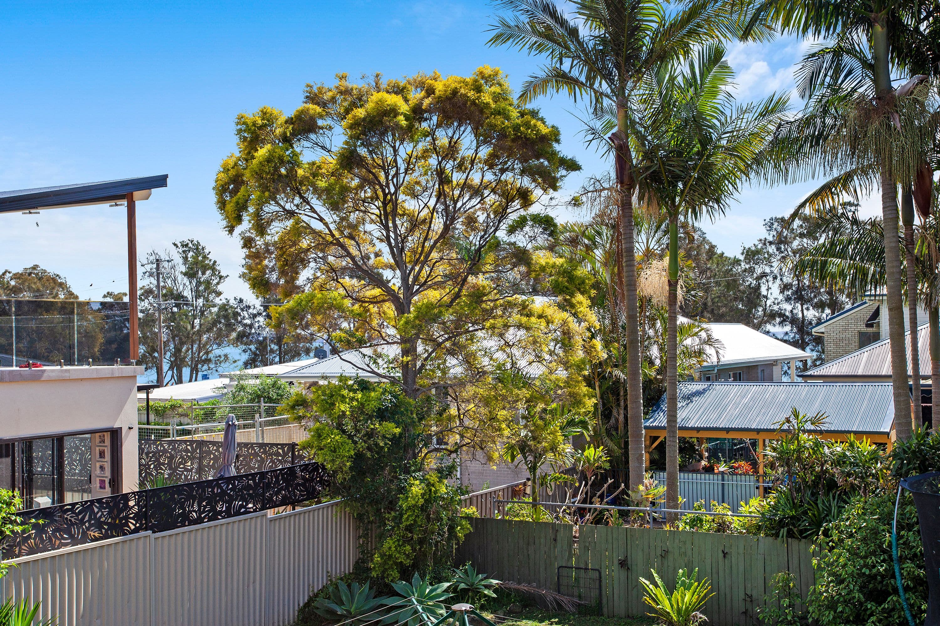 39 Ferndale Street, Killarney Vale NSW 2261, Killarney Vale - Thumbnail 6