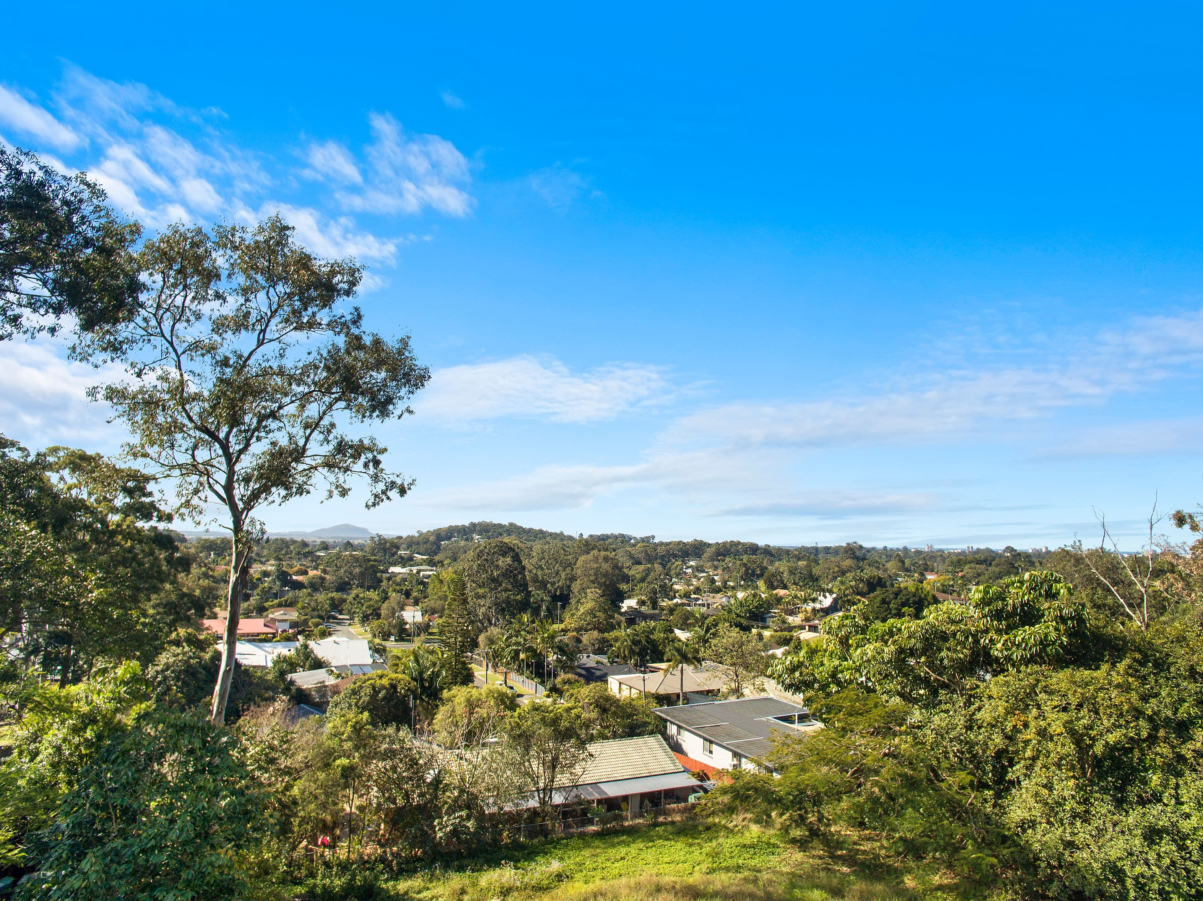 120 Jones Road, Buderim QLD 4556, Buderim - Thumbnail 4