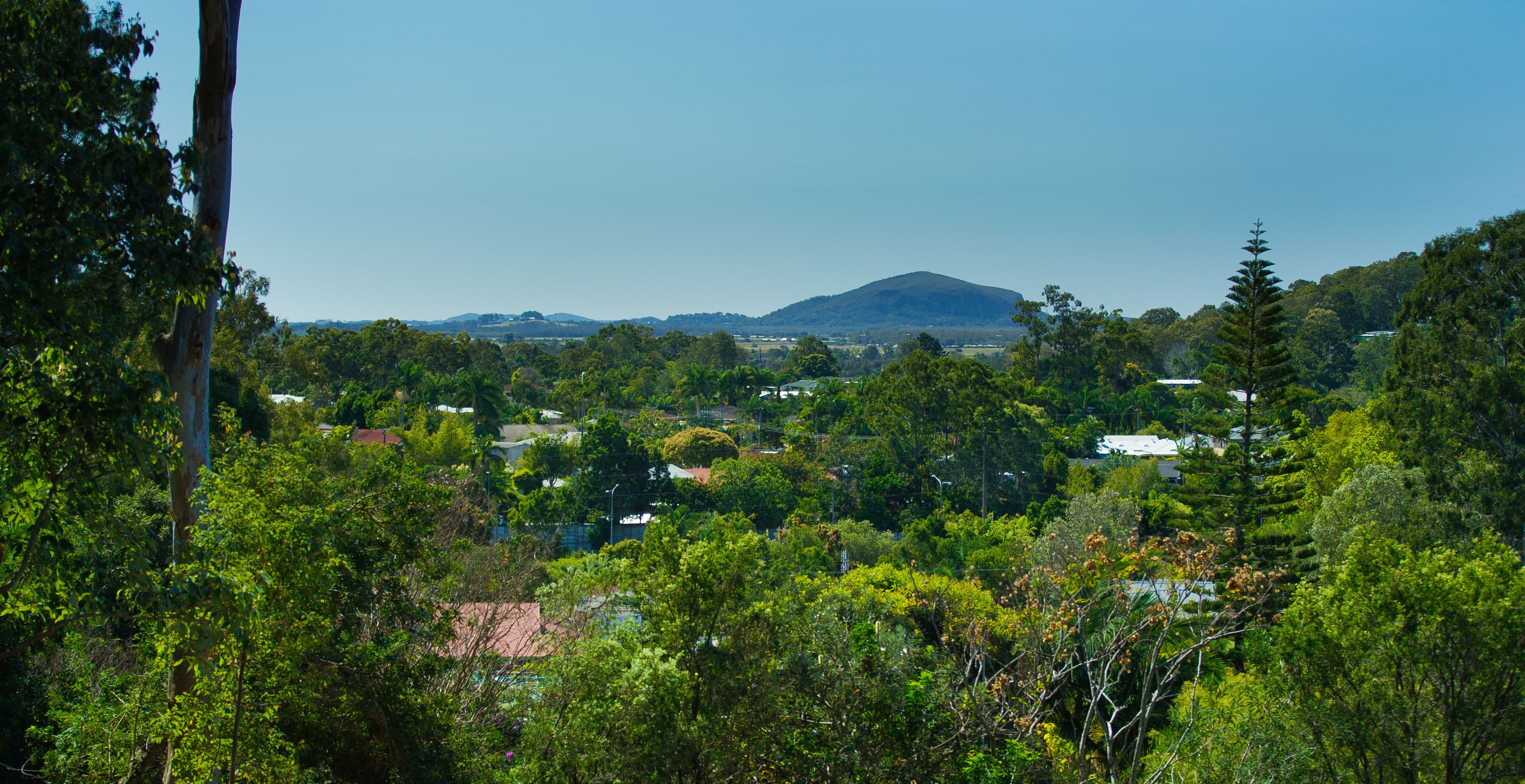 120 Jones Road, Buderim QLD 4556, Buderim - Thumbnail 5