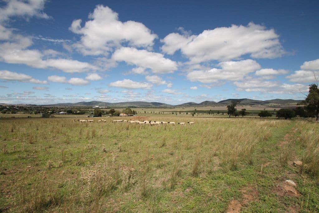 Lot 238 Deeks Road, Werris Creek NSW 2341, Werris Creek - Image 1