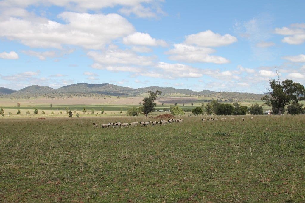 Lot 238 Deeks Road, Werris Creek NSW 2341, Werris Creek - Thumbnail 2