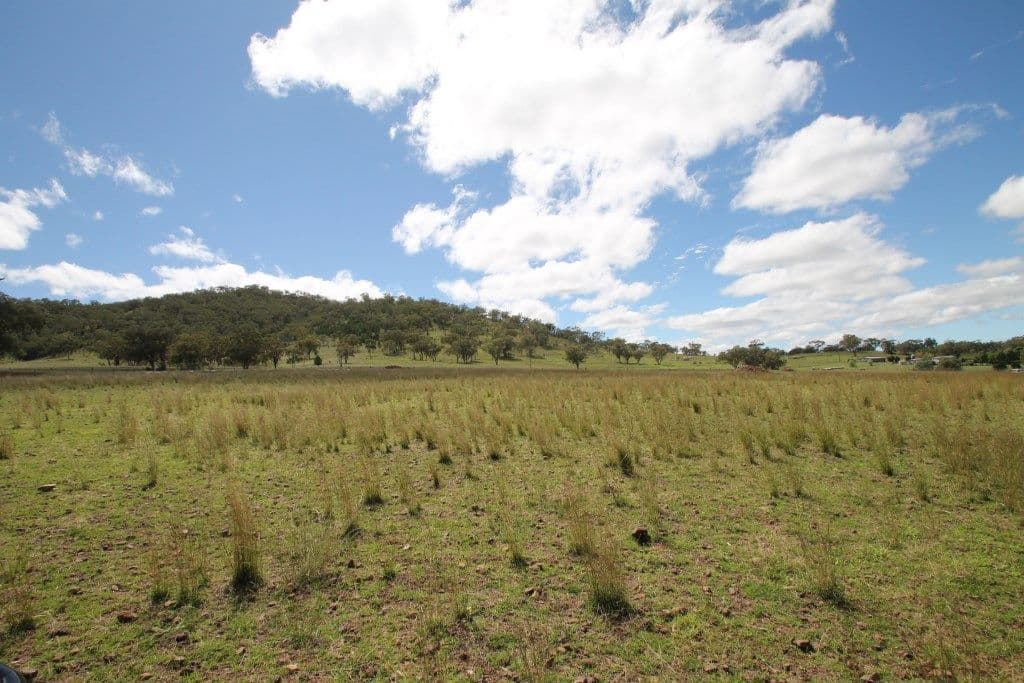 Lot 238 Deeks Road, Werris Creek NSW 2341, Werris Creek - Thumbnail 4