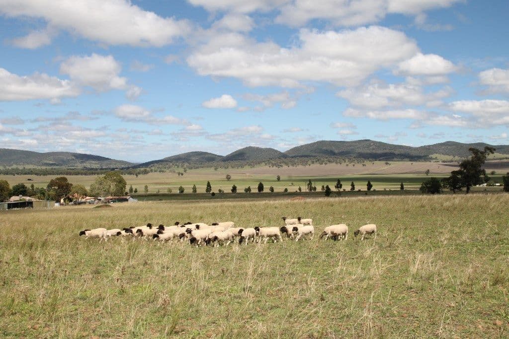 Lot 238 Deeks Road, Werris Creek NSW 2341, Werris Creek - Thumbnail 6