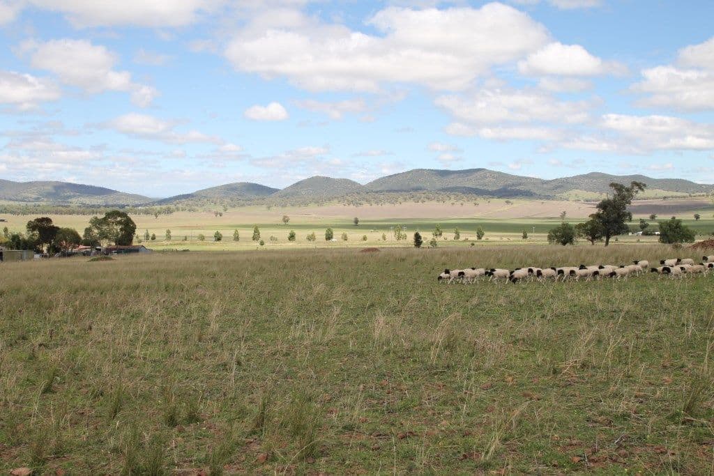 Lot 238 Deeks Road, Werris Creek NSW 2341, Werris Creek - Thumbnail 7