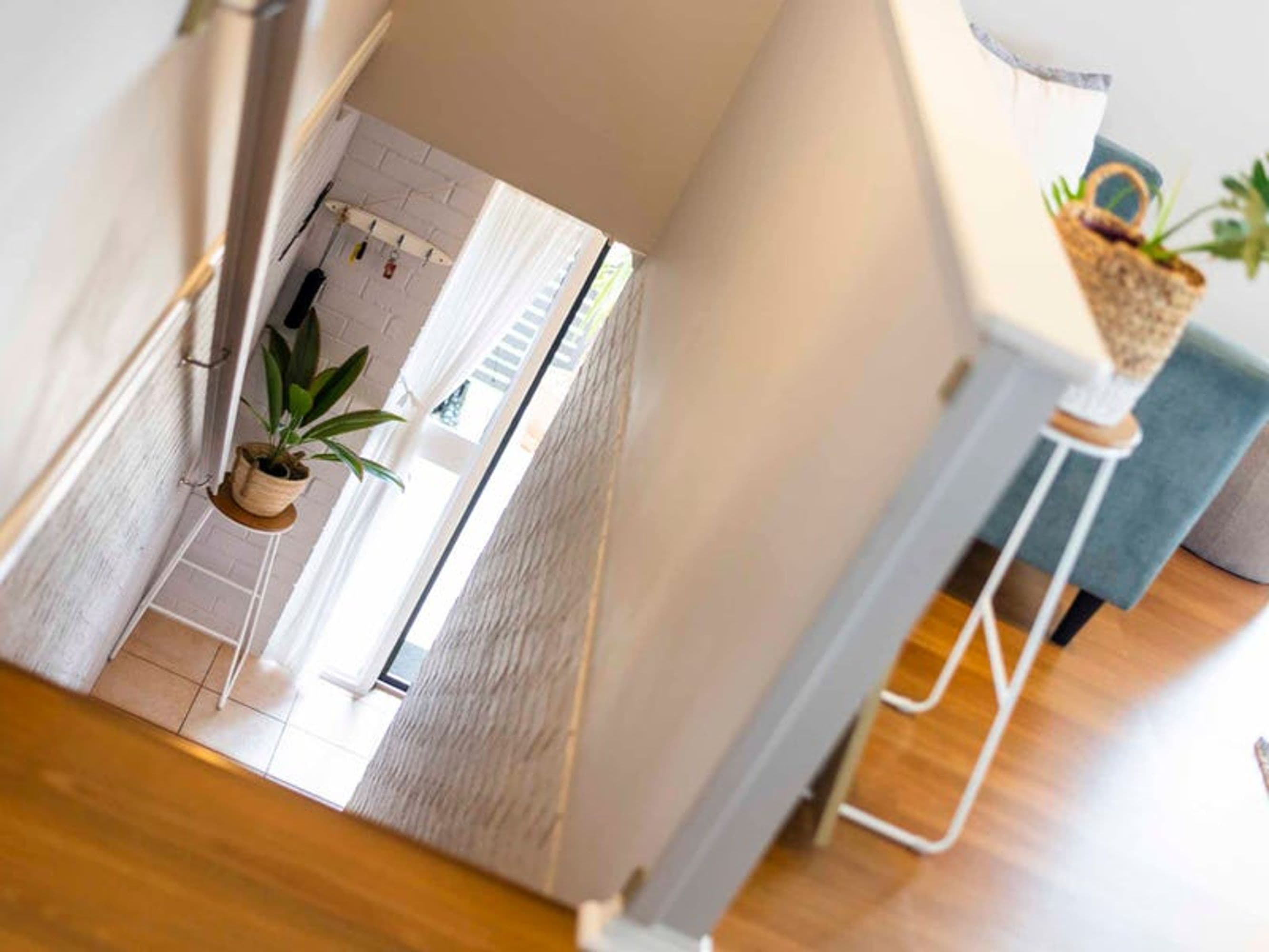 53A Chapman Street, Grafton - Thumbnail 8