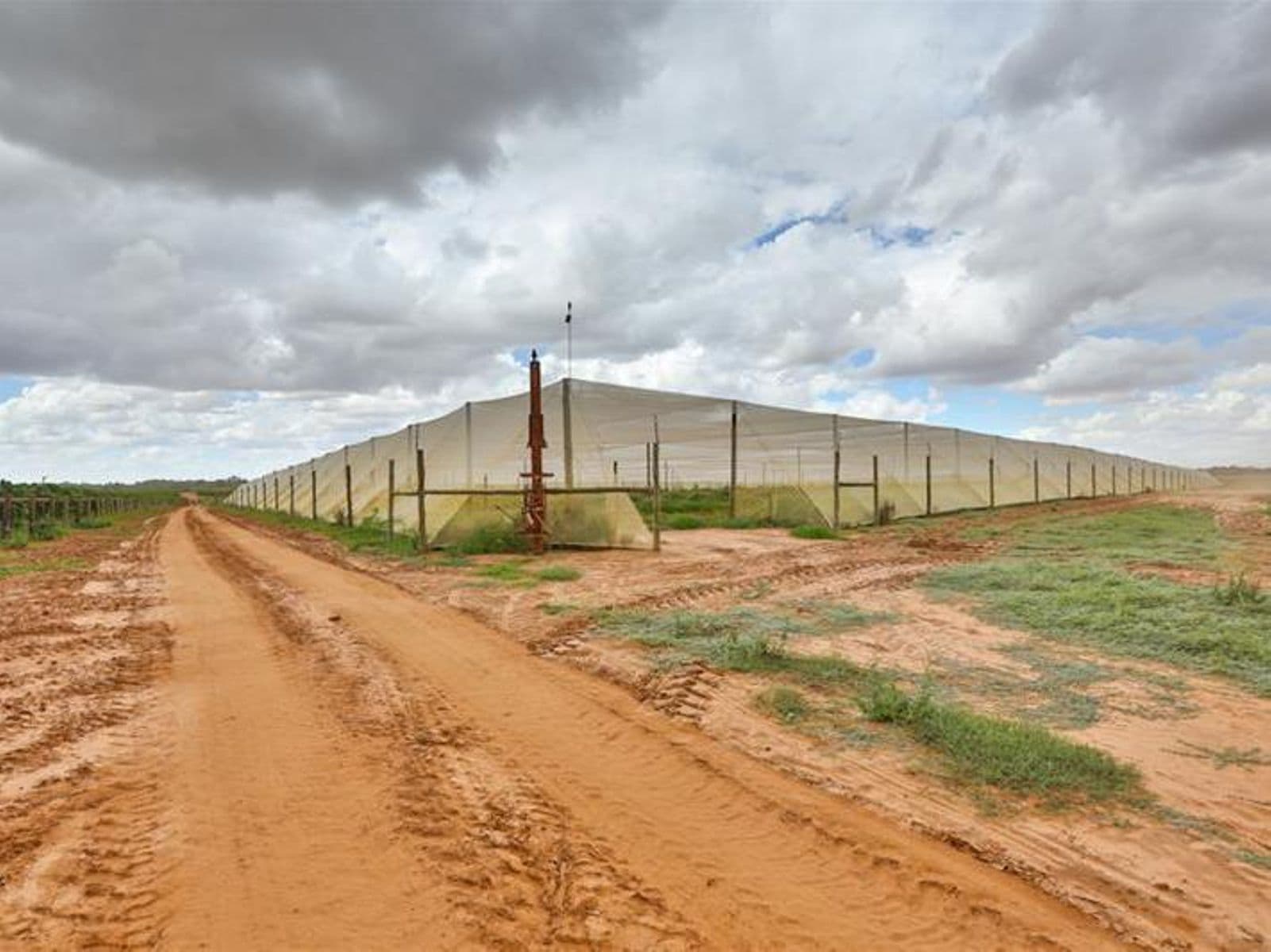 Robinvale Road, Liparoo - Thumbnail 6