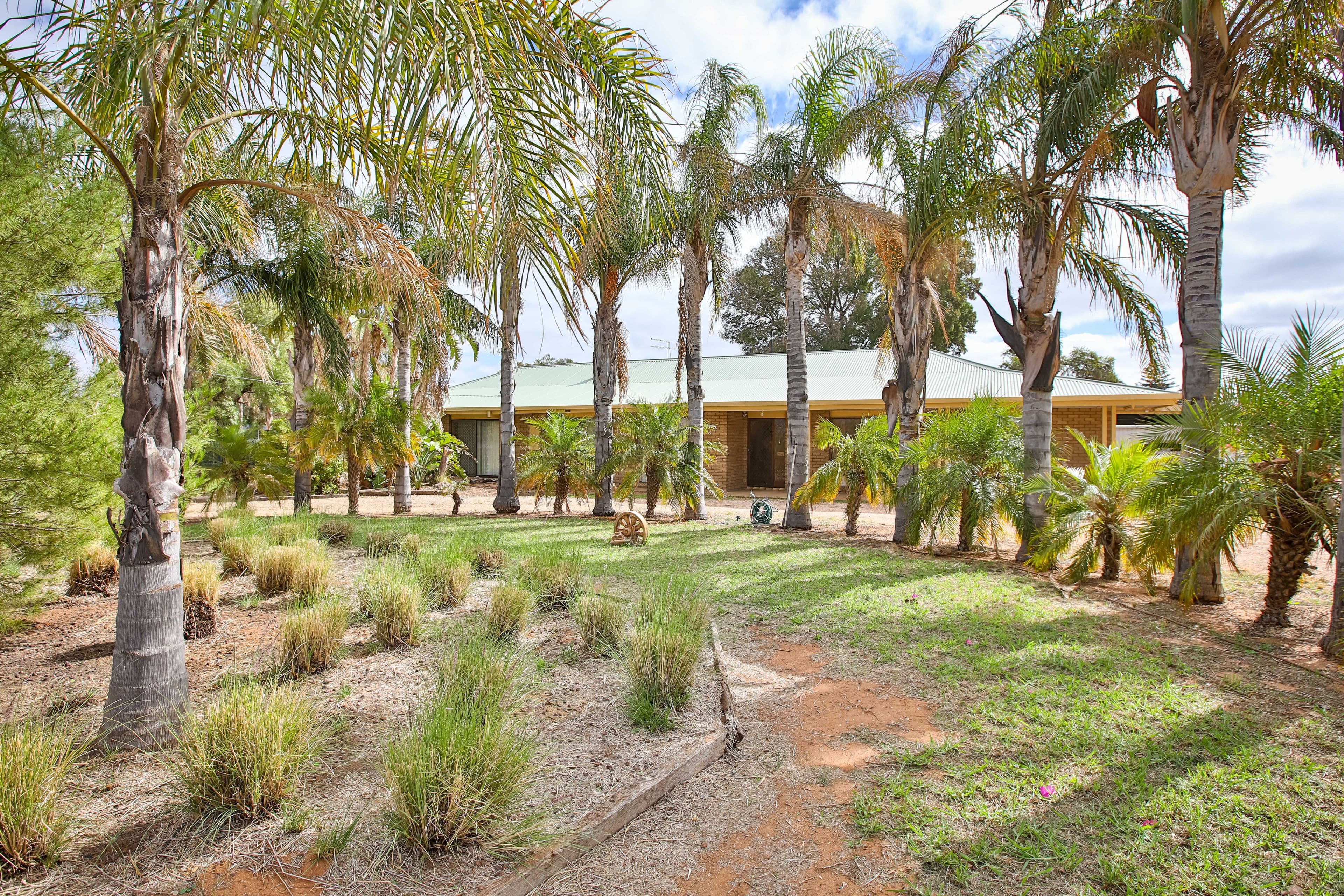 26 Moonah Street, Red Cliffs VIC 3496, Red Cliffs - Thumbnail 4