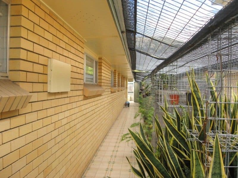 12 Norman Avenue, LUTWYCHE QLD 4030, Lutwyche - Thumbnail 2