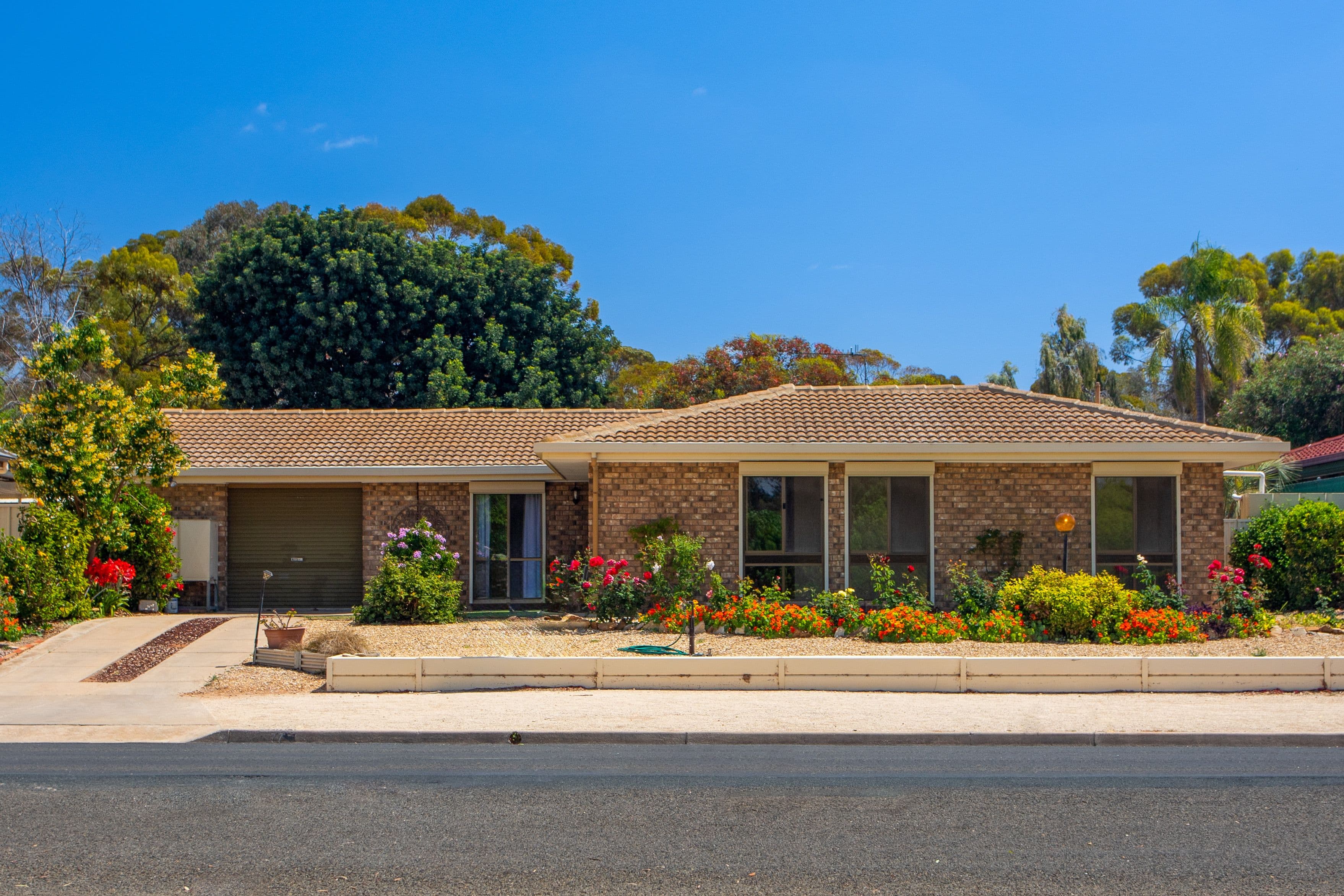 77 Kay Avenue, Berri SA 5343, Berri - Image 1