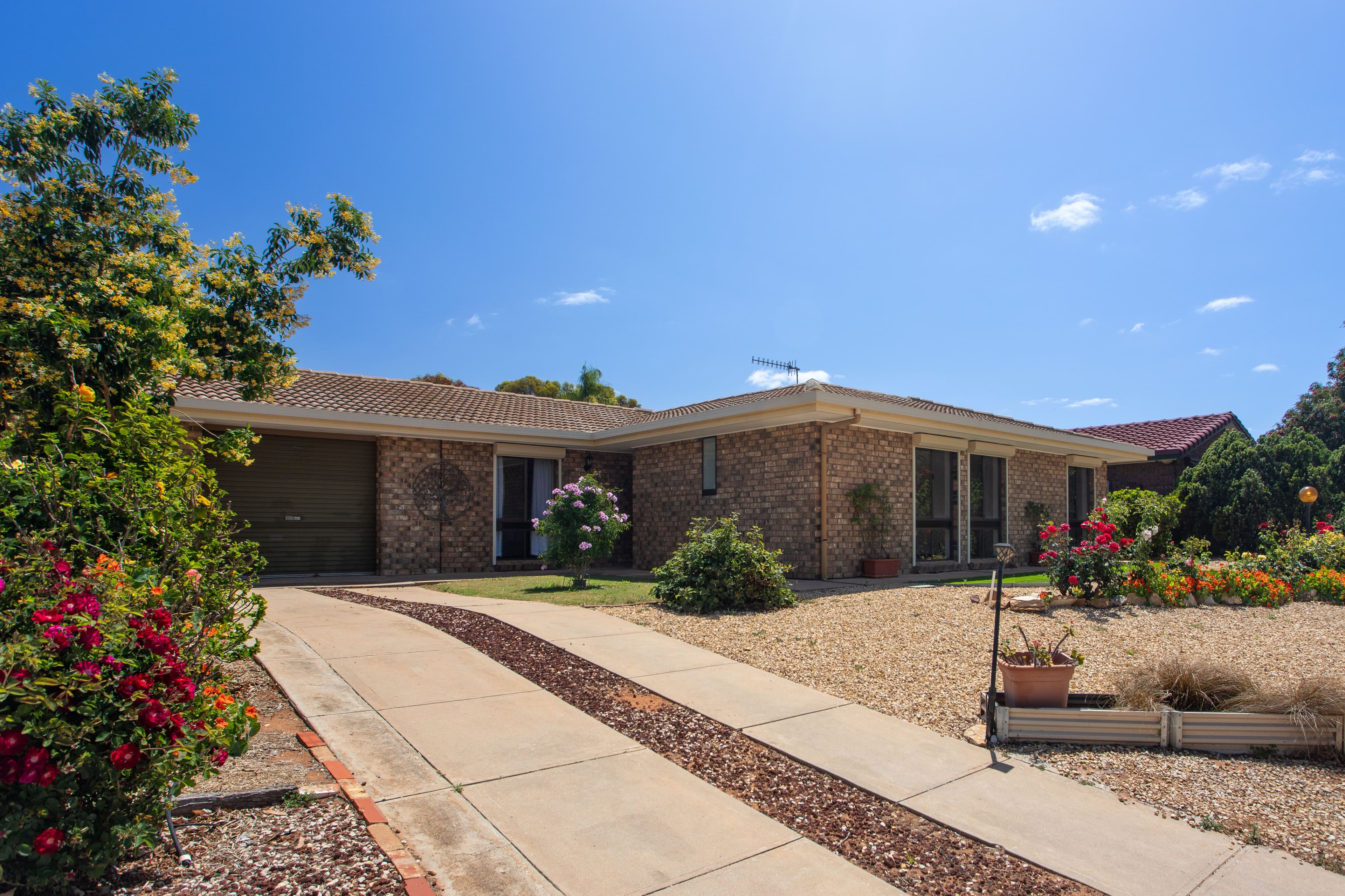 77 Kay Avenue, Berri SA 5343, Berri - Thumbnail 3