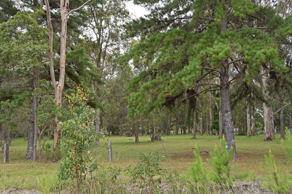 Lot 2 Candole Street, Tucabia NSW 2462, Tucabia - Thumbnail 4