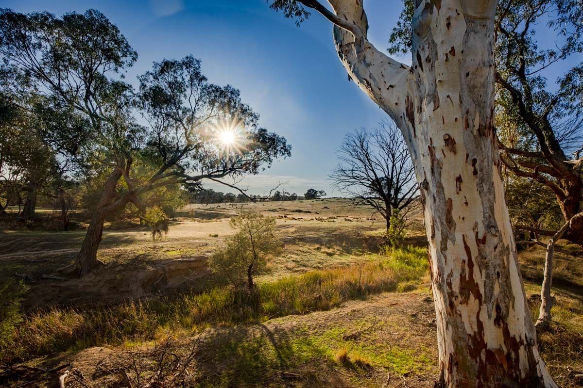 3047 Wargeila Road, Yass NSW 2582, Yass - Image 1