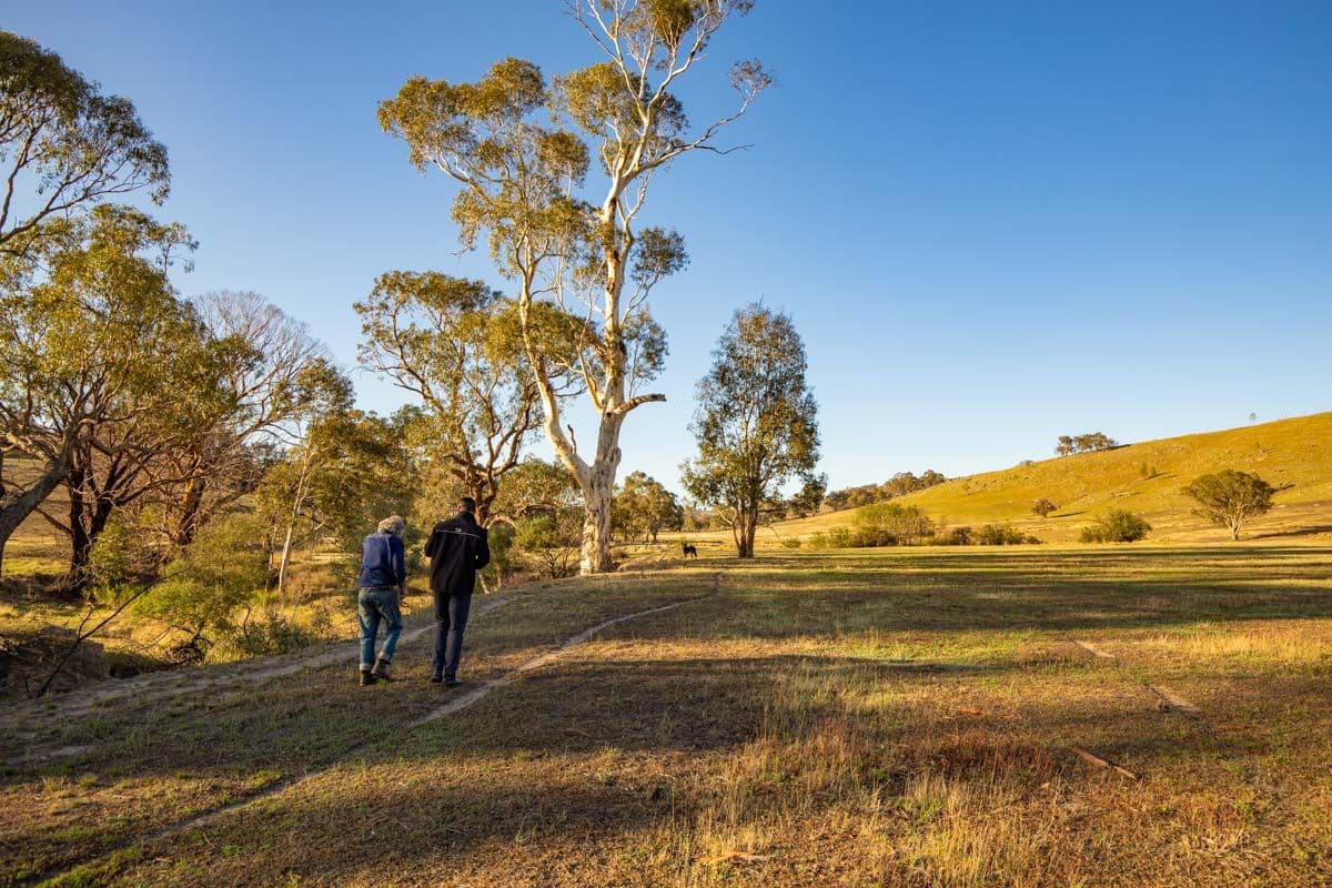 3047 Wargeila Road, Yass NSW 2582, Yass - Thumbnail 4