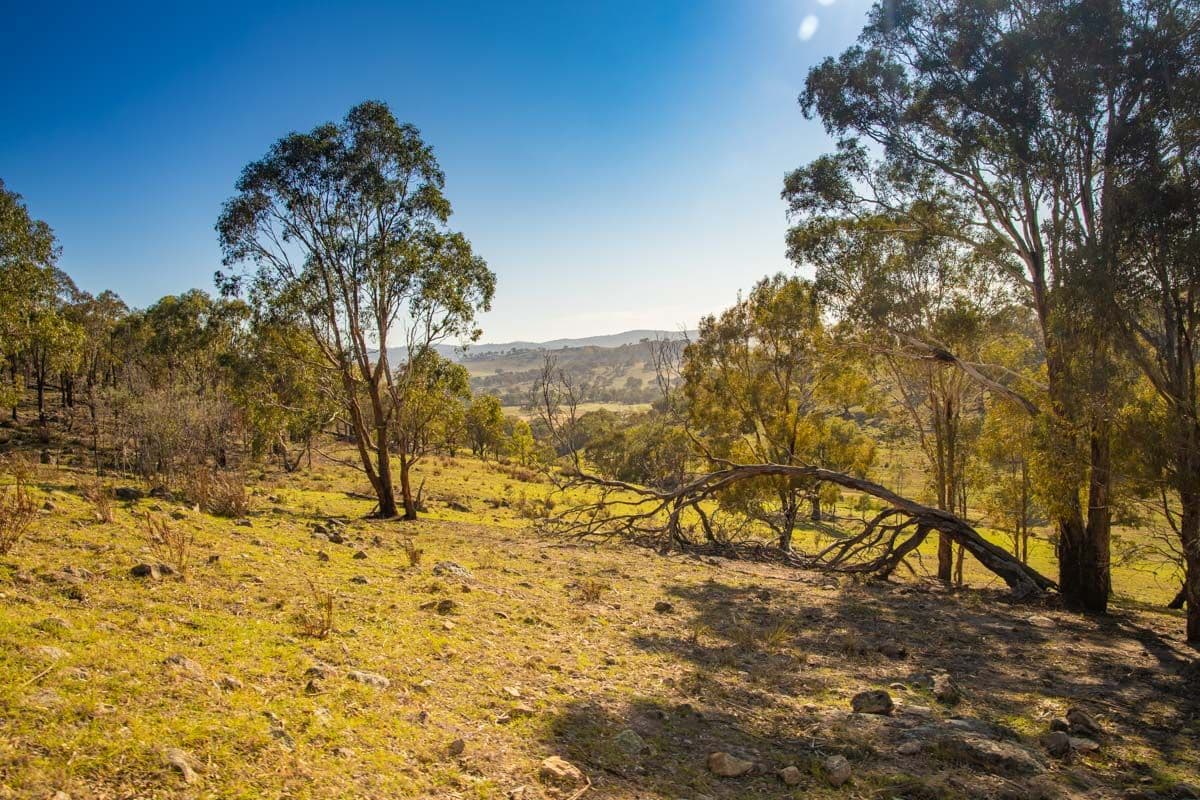 3047 Wargeila Road, Yass NSW 2582, Yass - Thumbnail 5