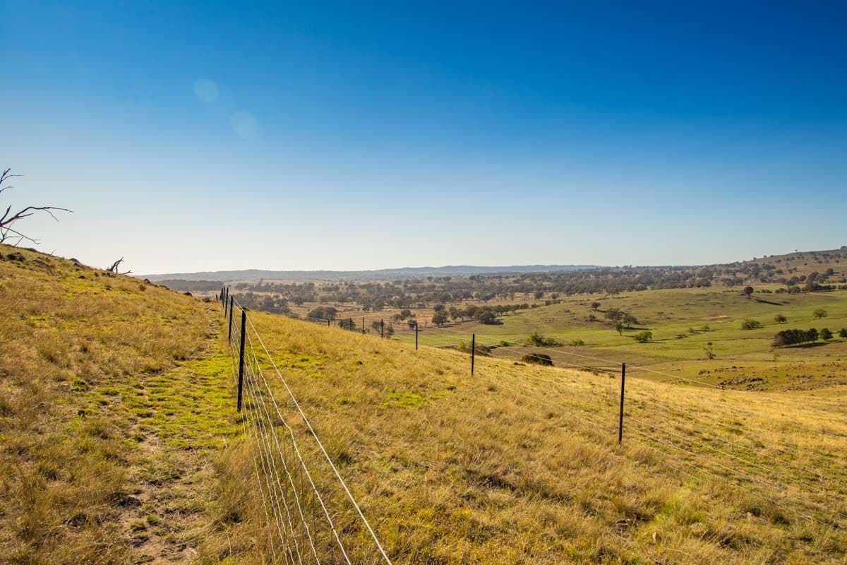 3047 Wargeila Road, Yass NSW 2582, Yass - Thumbnail 6